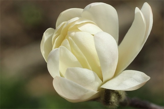 12生日祝福语 【12岁生日祝福语】