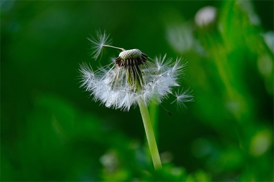 吃饭时的祝福语 【吃饭时祝福的话】