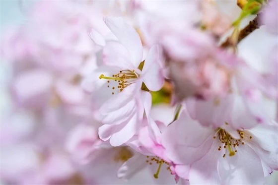 2026年创意结婚祝福语大全 【2026很火的结婚祝福语】