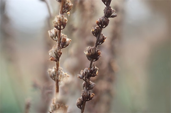 春节宝宝祝福语大全 【春节给宝贝的祝福语】