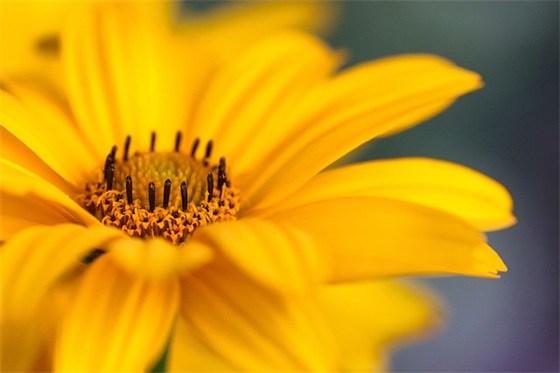 高考祝福语短句 【给学生祝福语八个字】