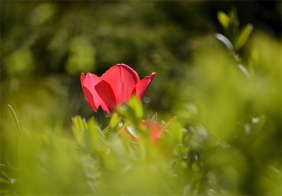 动土的开工大吉祝福语 【开工动土吉祥语】