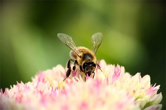 别具一格的生日祝福语 【100句精选】