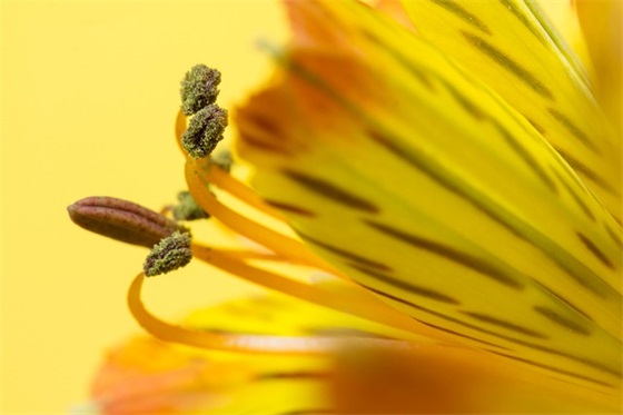 新人祝福语简短 【公司新人祝福语简短】