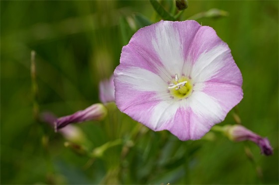 长辈生日祝福语贺词 【长辈生日祝福语贺词大全】