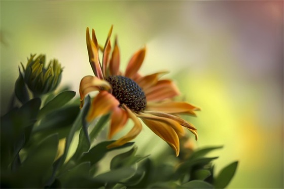 飞字开头的祝福语 【飞字开头的词语四字词语】