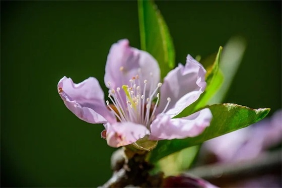 妈妈退休祝福语-80句