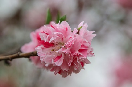 认真看 有情侣的你以后可能会不再关机爱情经典语录