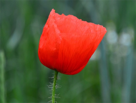 伤感生活话语录大全