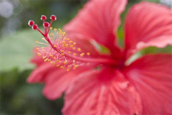 正能量语录名人名句