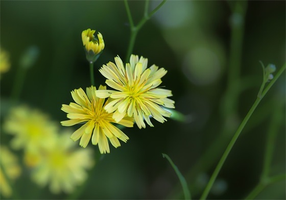 励志语录正能量语录