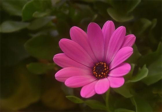 林清玄励志语录43句