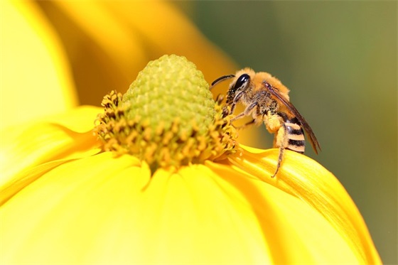 减肥毒鸡汤经典语录 减肥毒鸡汤经典语录配图