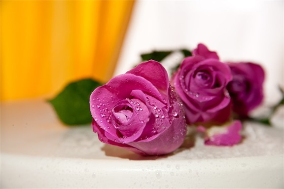 企业管理语录精选(求中外企业管理经典语录和著作)