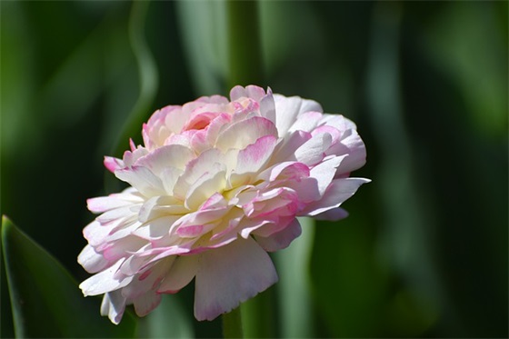 积极上进的名人语录 积极上进的名言短句