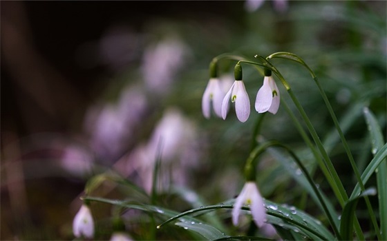 余秋雨写的爱情句子 余秋雨关于爱情的语录